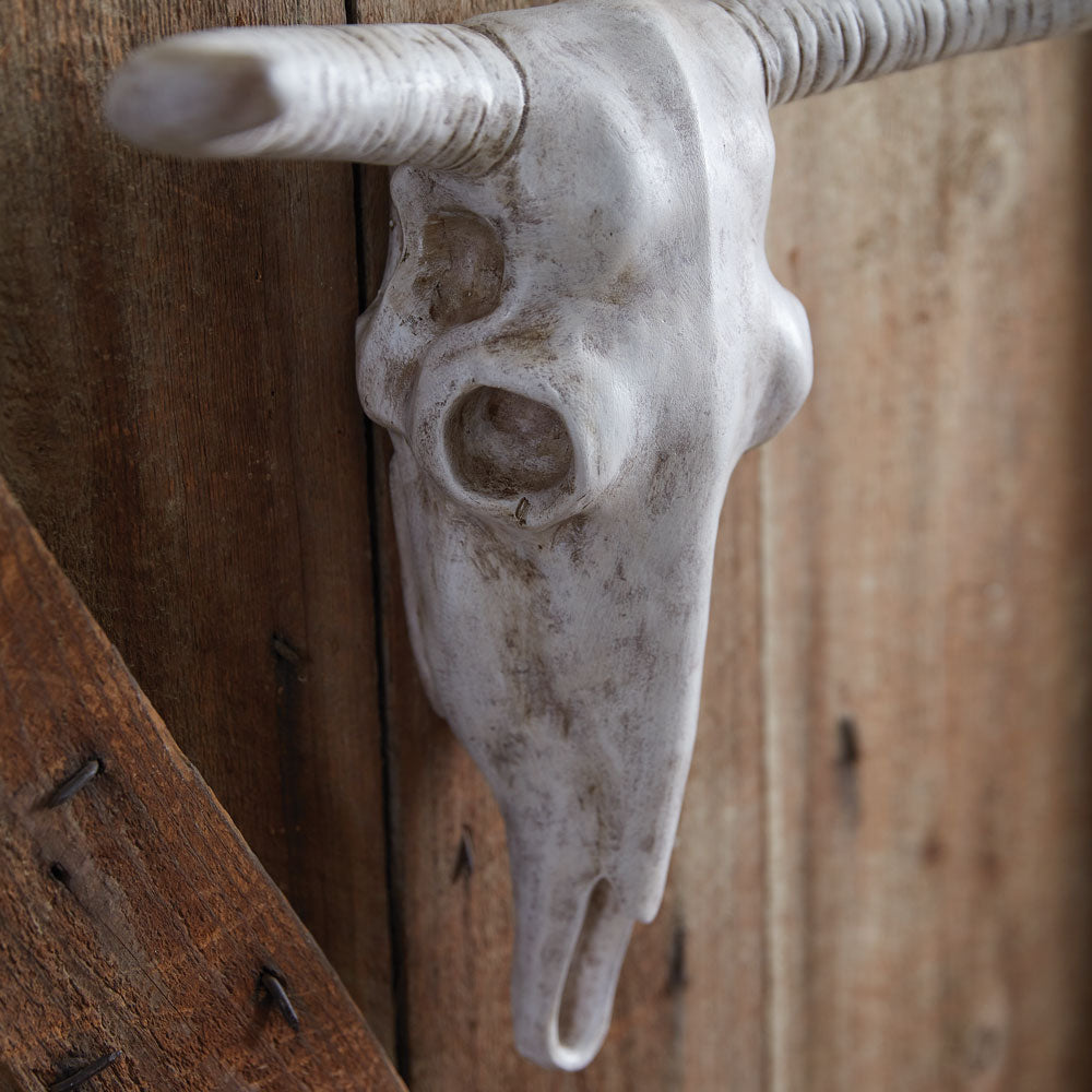 Longhorn Resin Skull