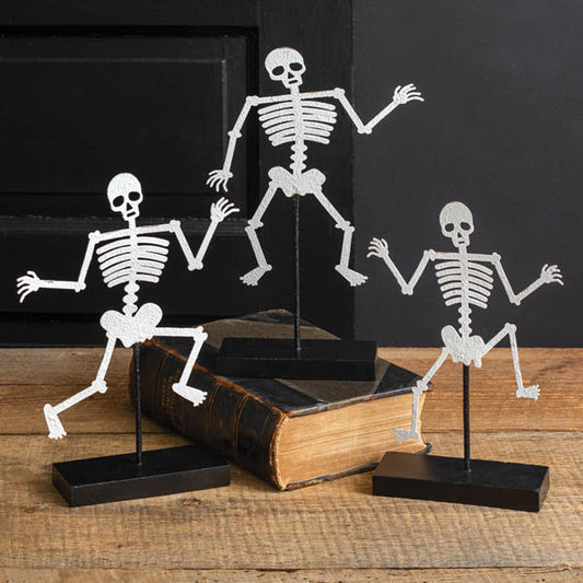 Set of Three Skeletons with Wooden Base