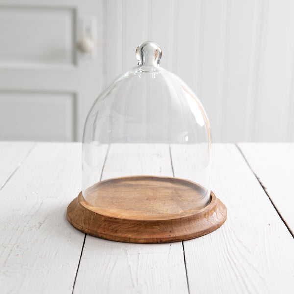 Small Glass Bell Shaped Cloche with Wood Base