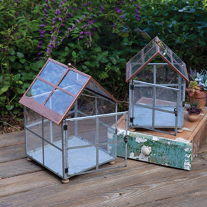 Set of Two Farmhouse Terrariums