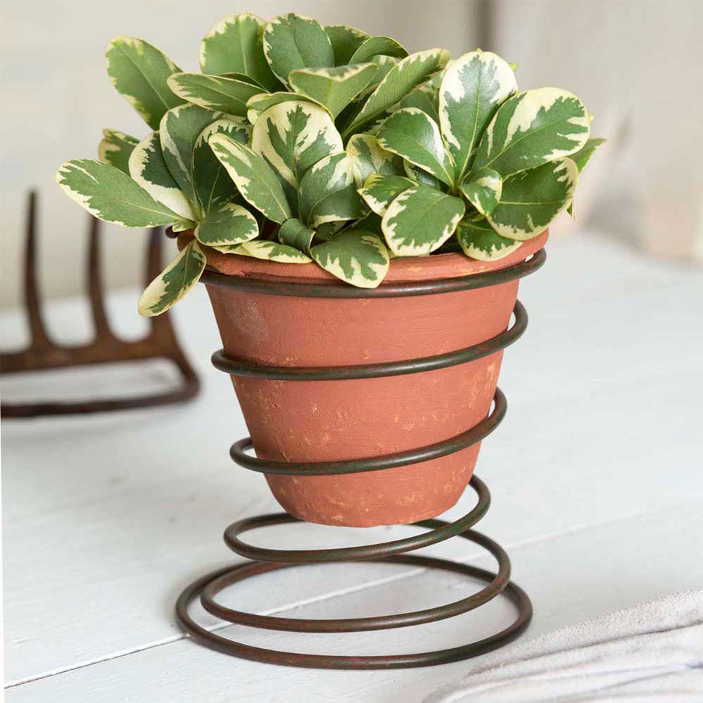Bedspring Caddy with Terra Cotta Pot